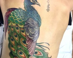 Karly-Clearly-tattoo122